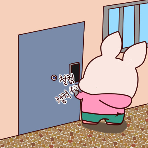편한 세상