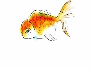 어항속_금붕어.jpg