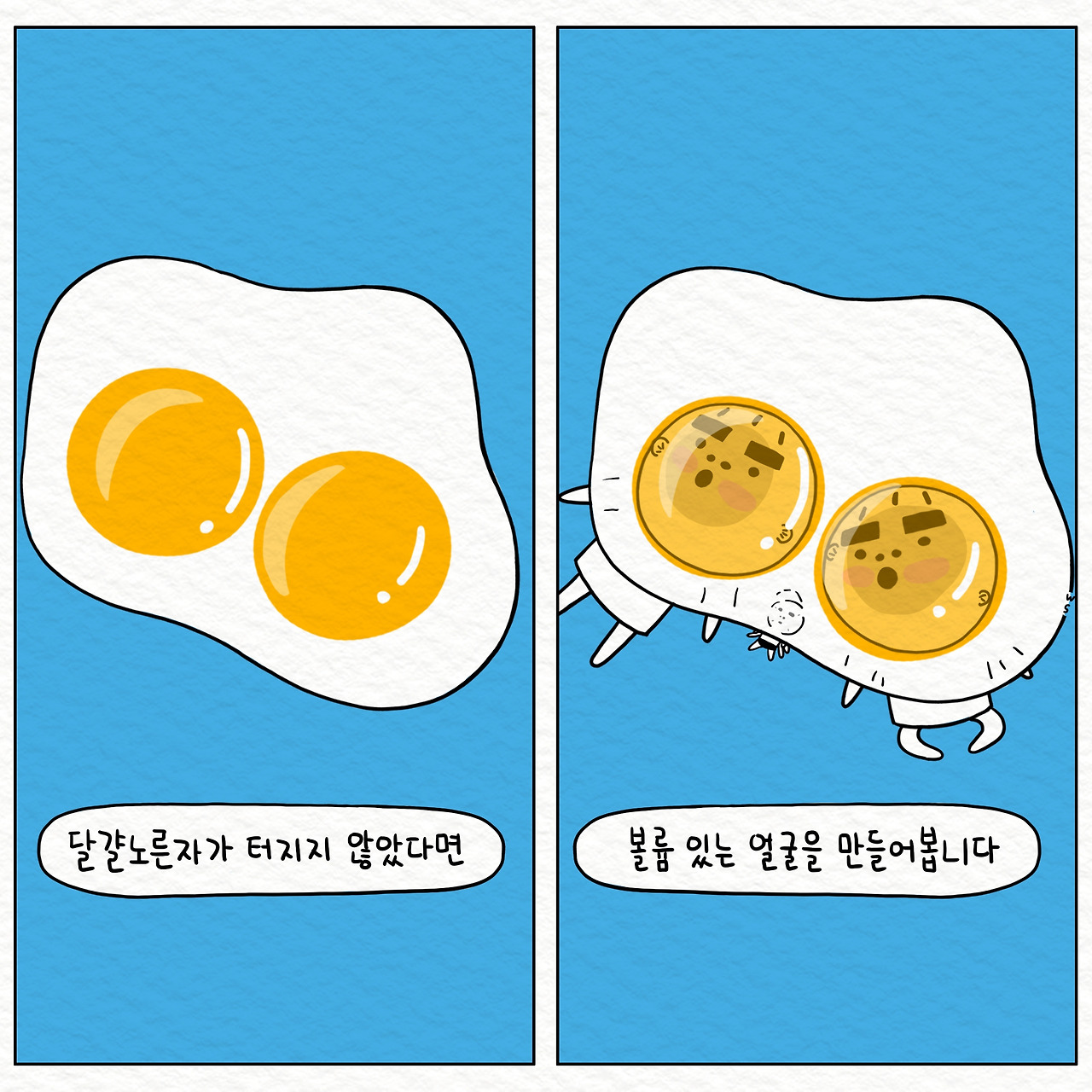 ★툰컷 계란 노른자.jpg