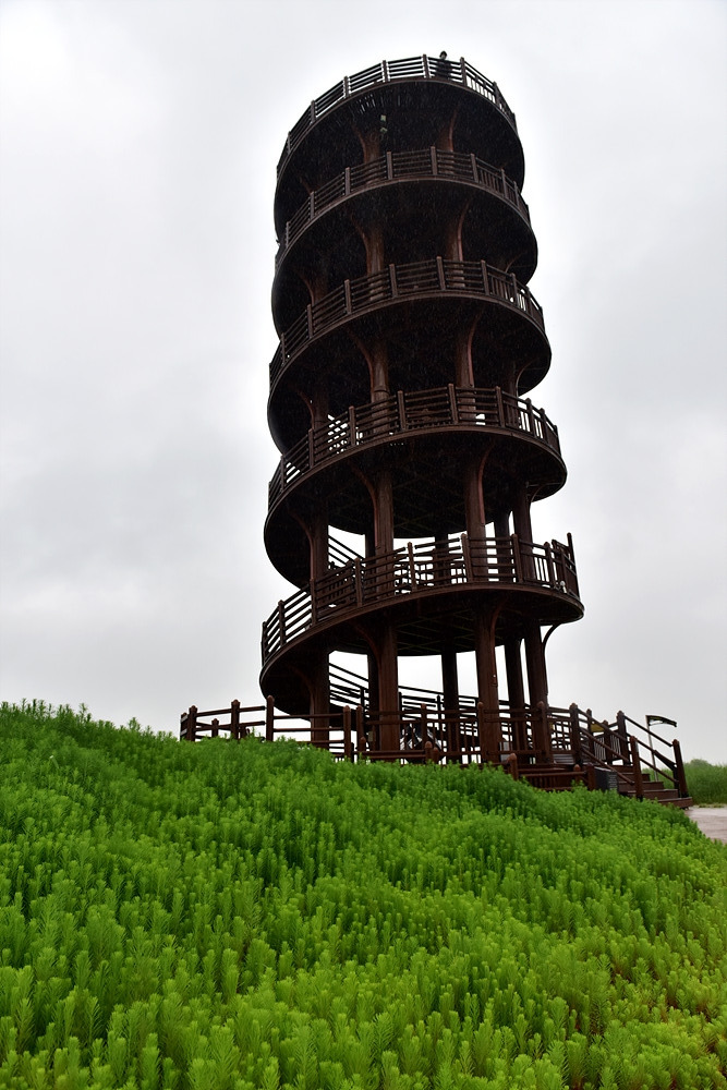 갯골생태공원 (108).jpg