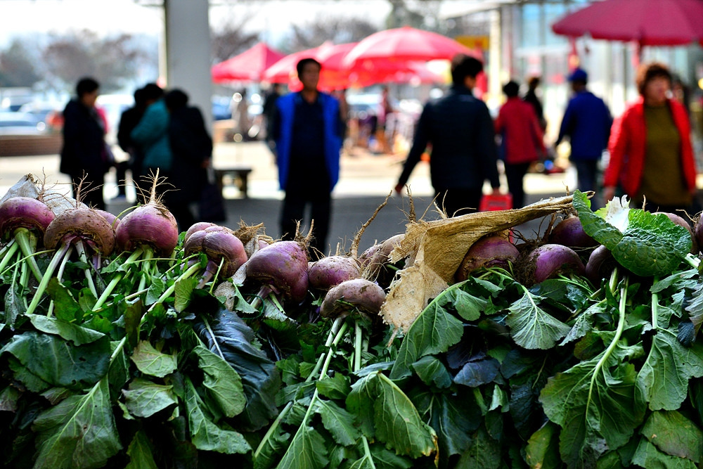 강화도11.19 (24).jpg