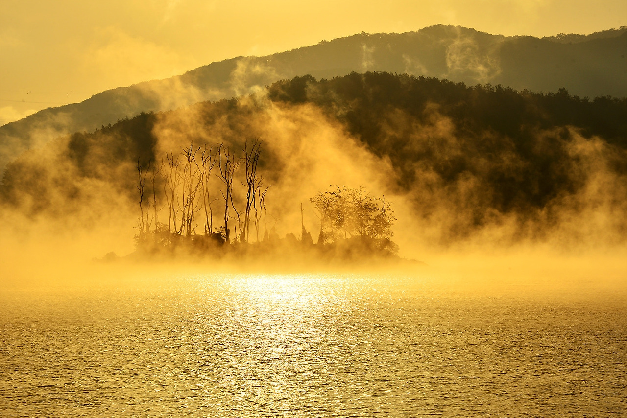 경기양평두물머리 (1).jpg