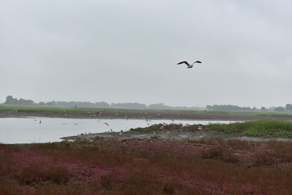 미생의다리 (79).jpg