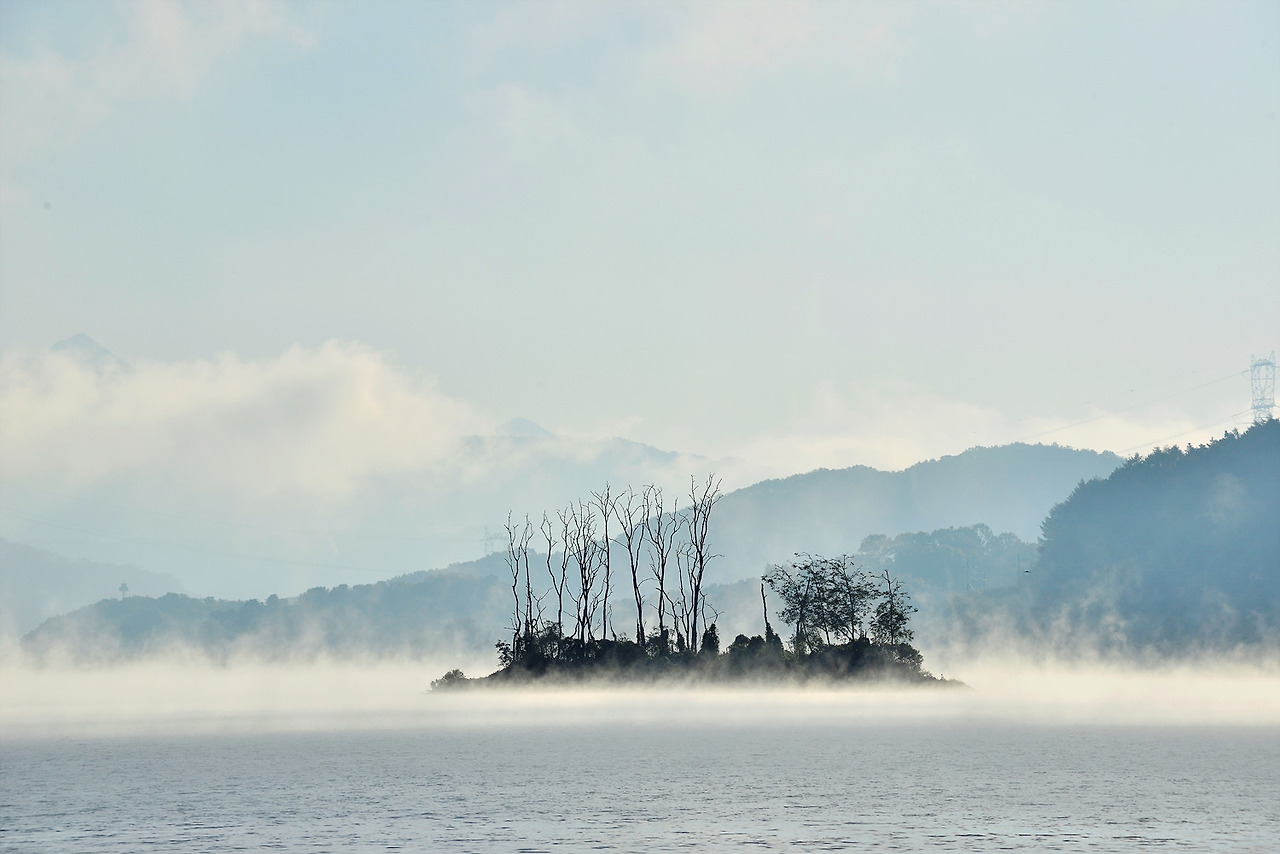 경기양평두물머리 (3).jpg