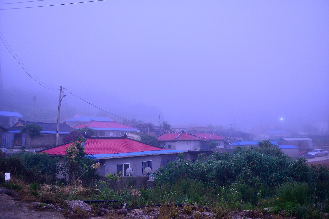 목포,신안6.4 (1210).jpg