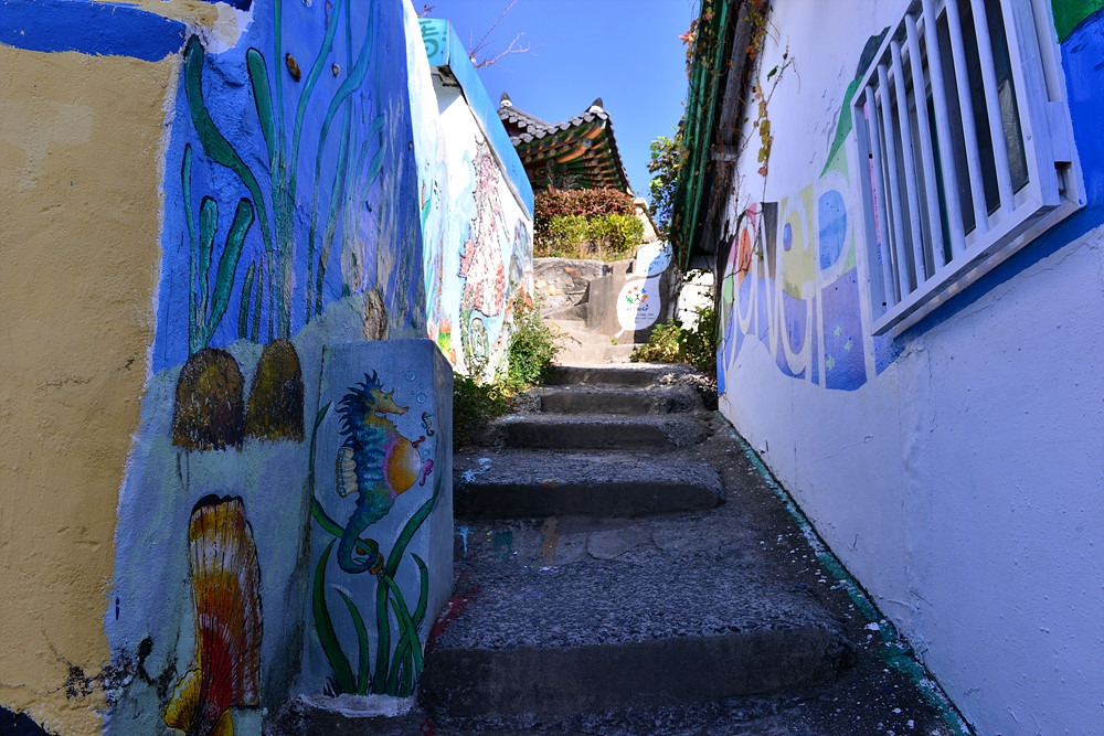 통영11.14 (155).jpg