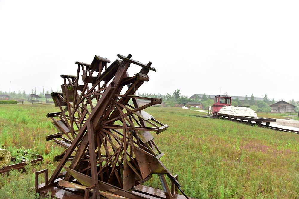 갯골생태공원 (97).jpg