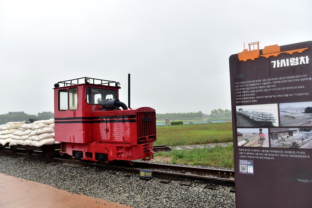 갯골생태공원 (91).jpg