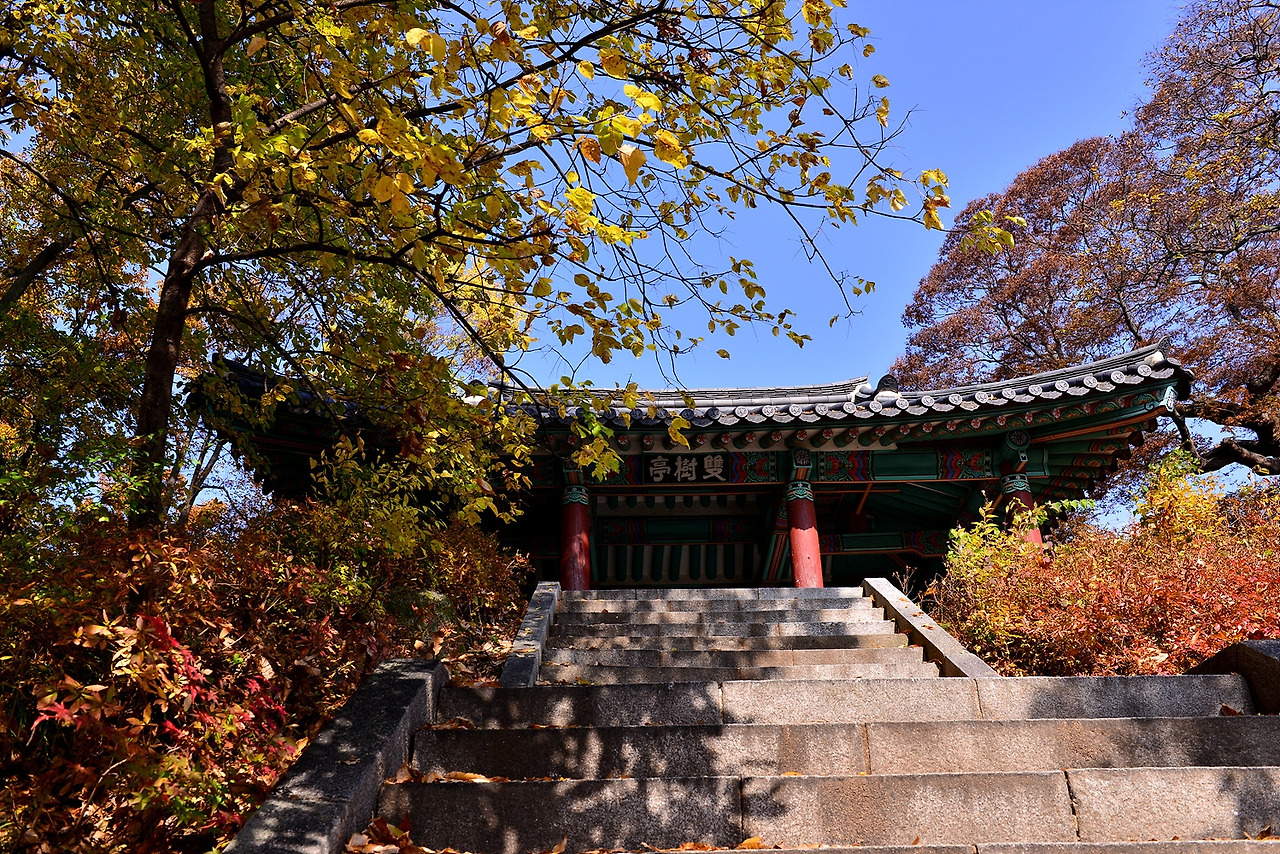 공주공산성 (317).jpg