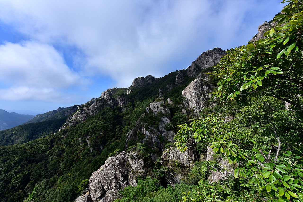 대둔산국립공원 (83).jpg