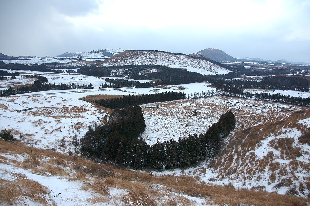 용눈이오름1 (1).jpg