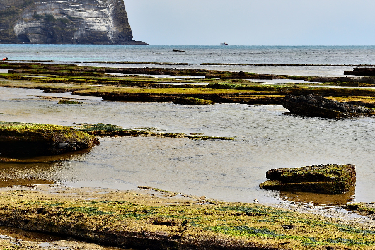 3.광치기해안 (3).jpg