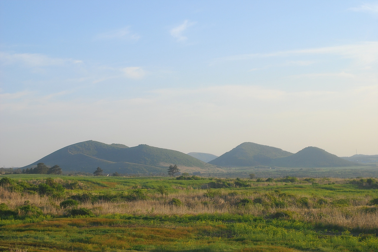 새별오름 (63).jpg