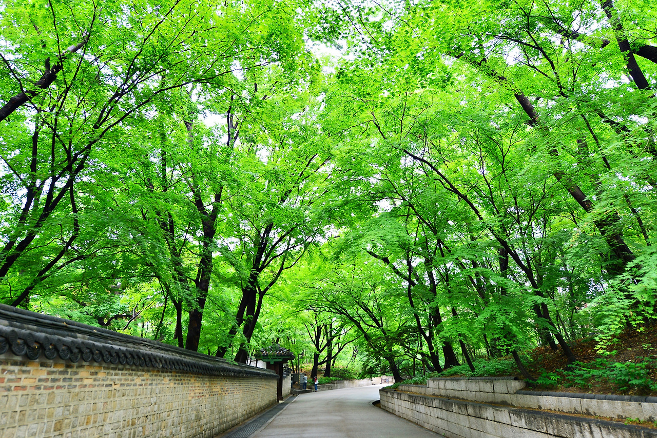 후원 들어가는 길.jpg