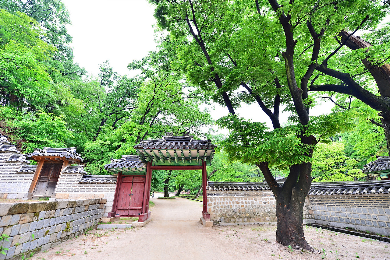 애련지 구역 (2).jpg