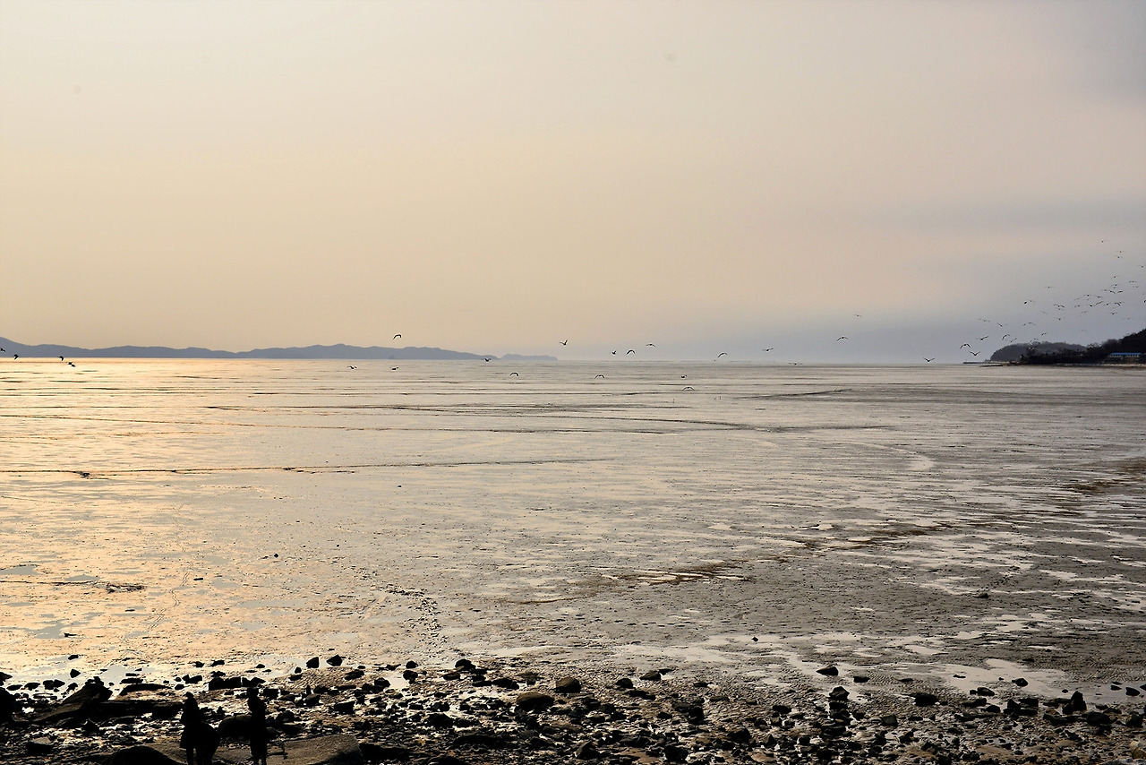 동막해변 (2).jpg