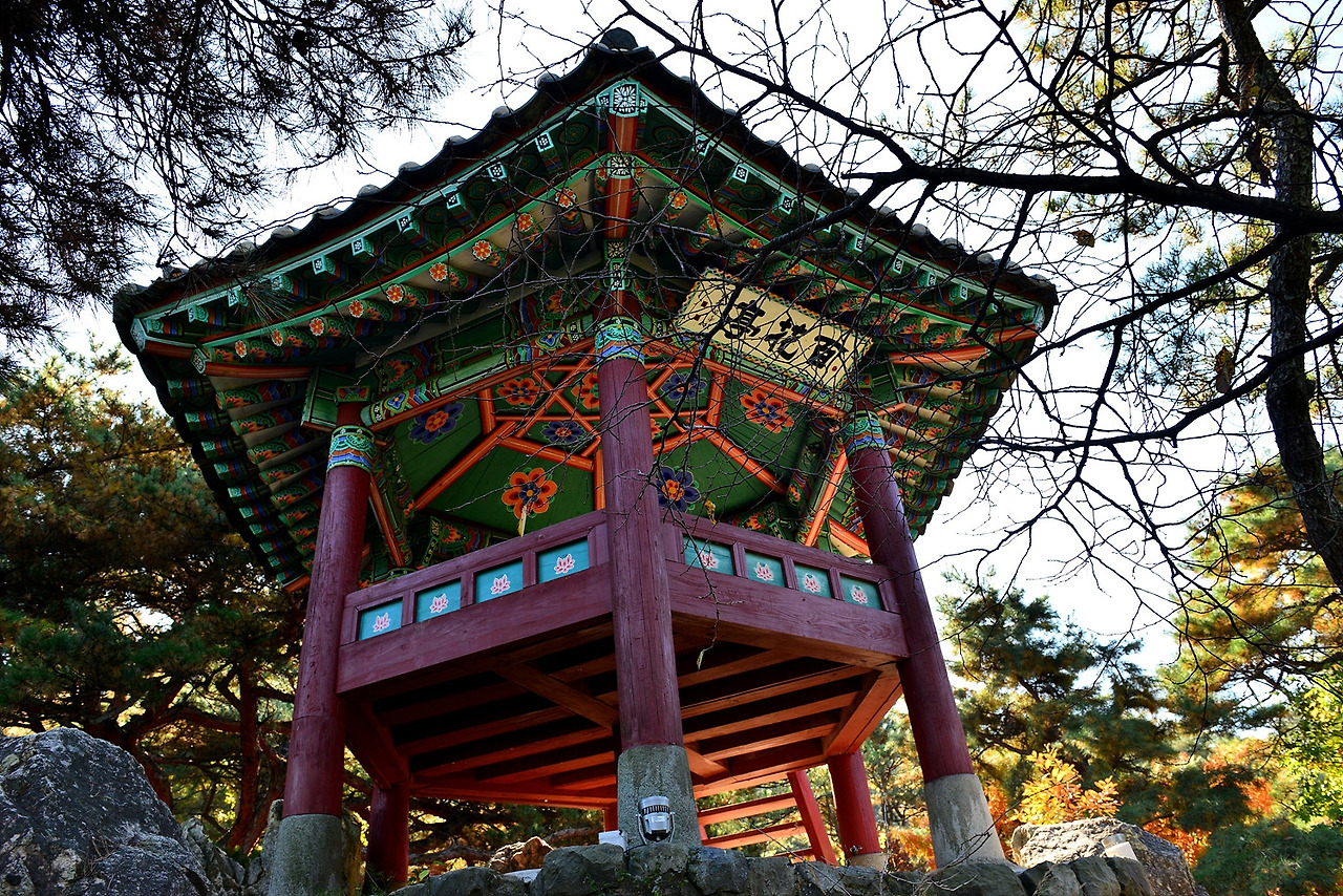 부여관북리유적,부소산성 (95).jpg