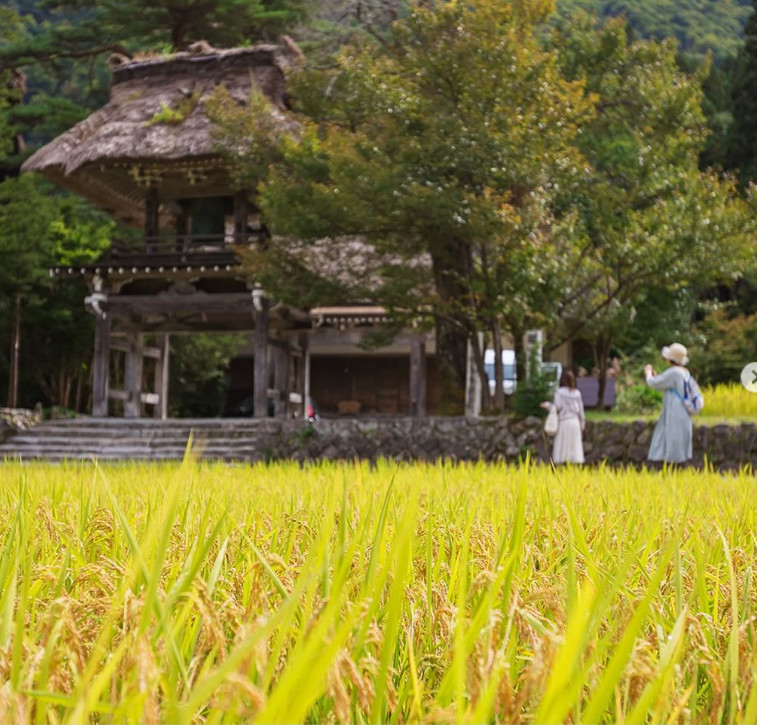 Cap 2022-09-30 08-54-41-444.jpg