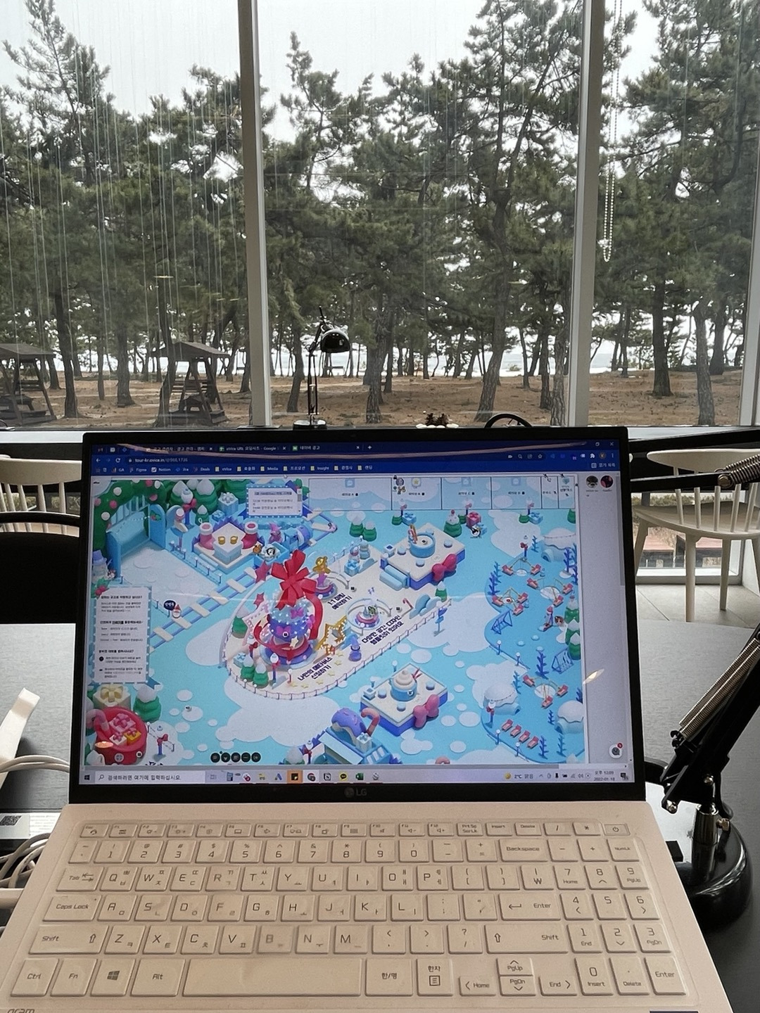 모아나 작가 (5).jpg