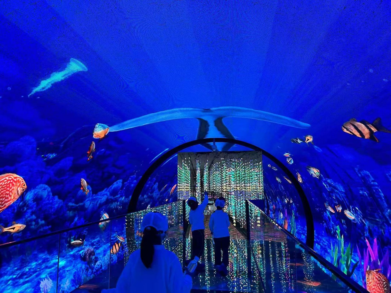 KakaoTalk_20250929_234805247_01 (1).jpg