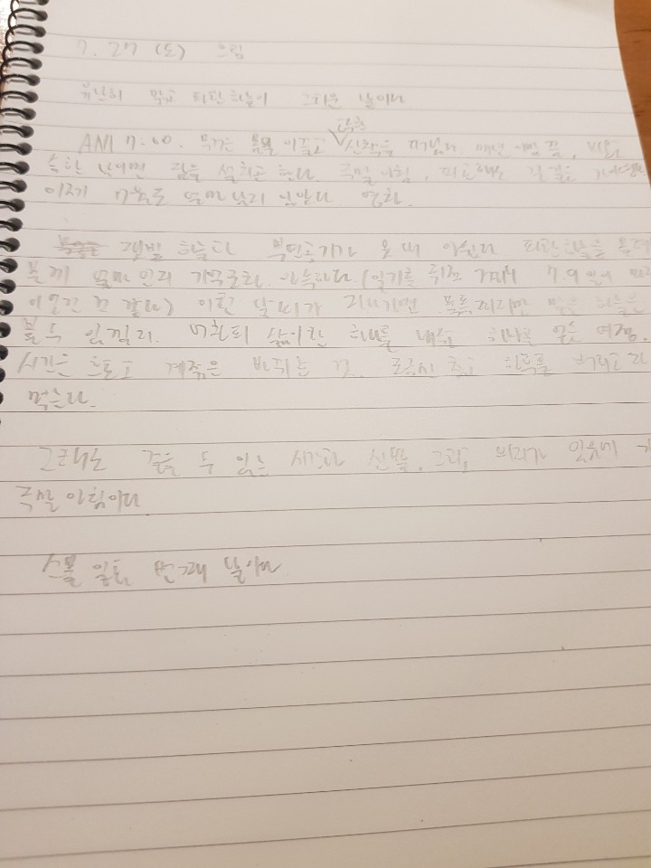 7.27 일기.jpg