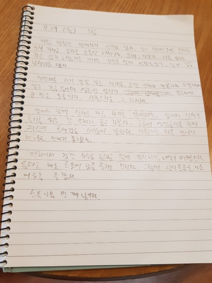 7.29 일기.jpg