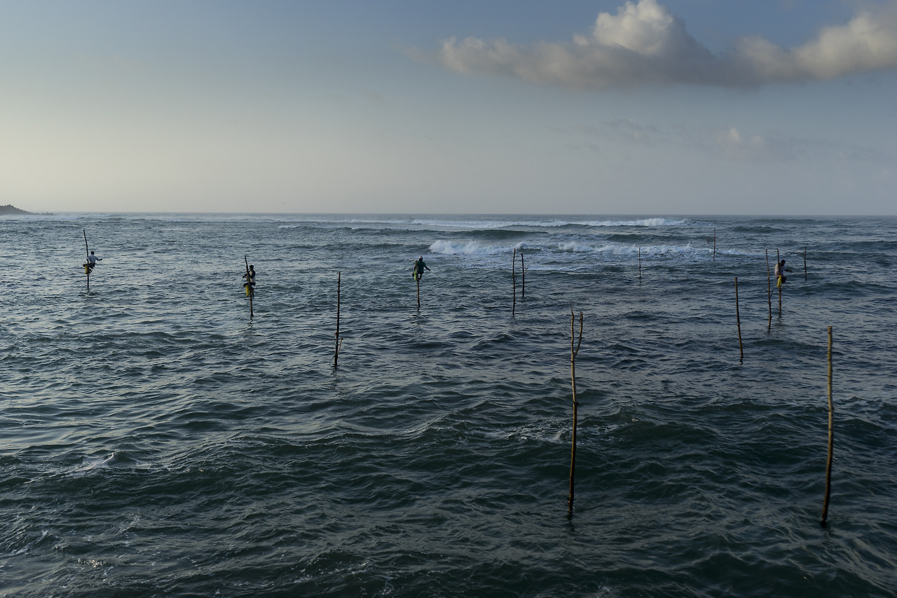 38 갈레 장대낚시-5.jpg