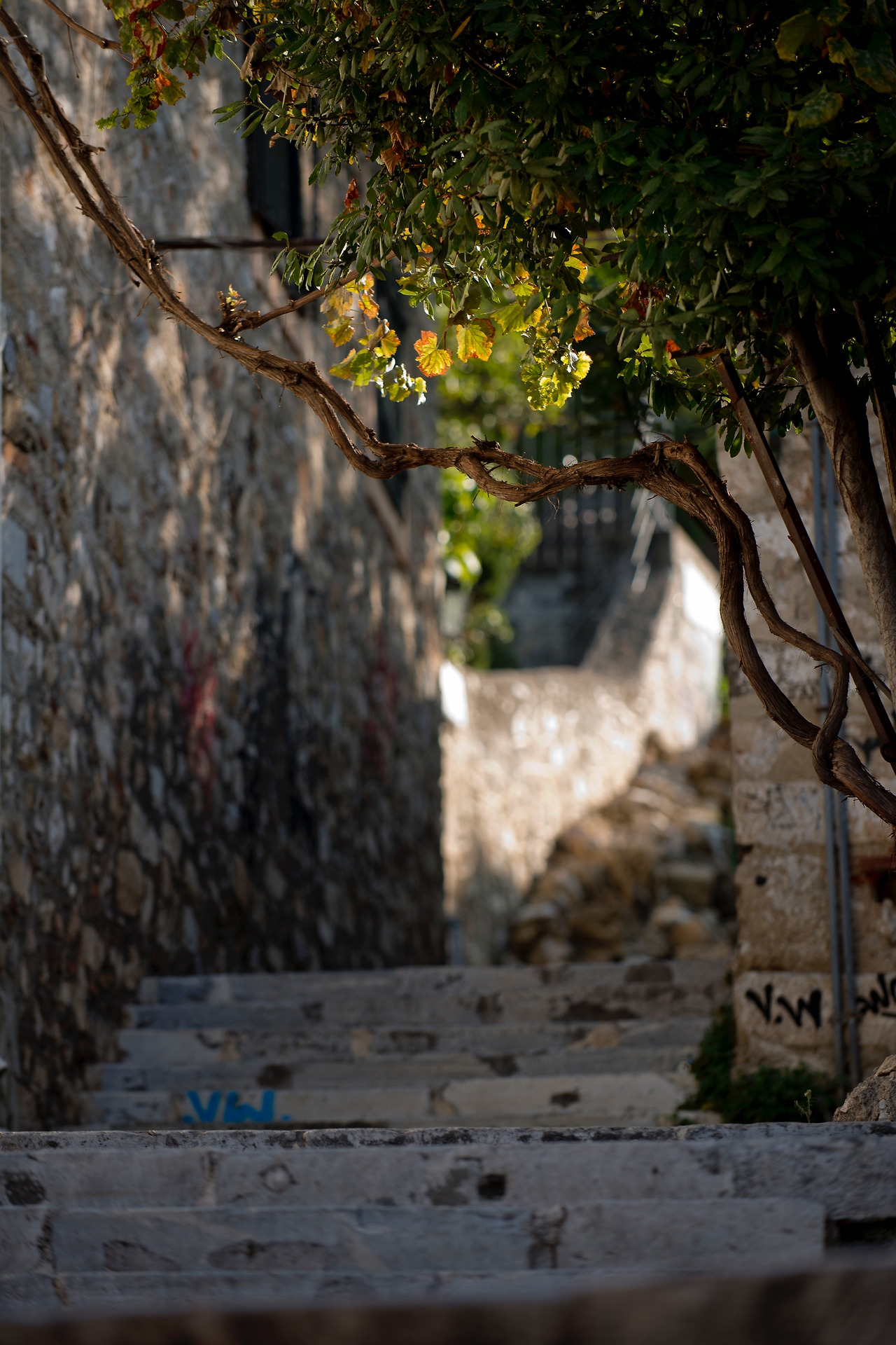 아테네 거리 PT.jpg