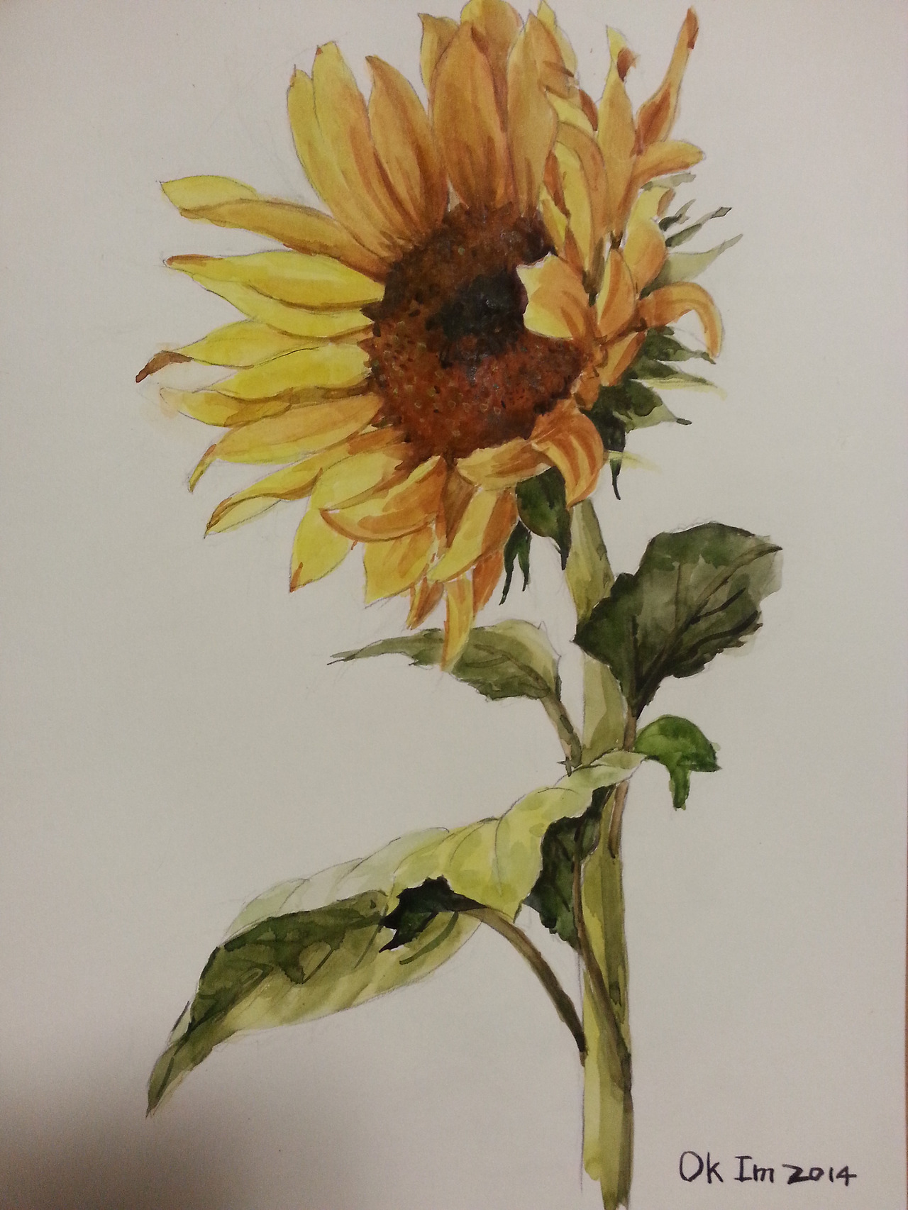 해바라기_1-1 (1).jpg