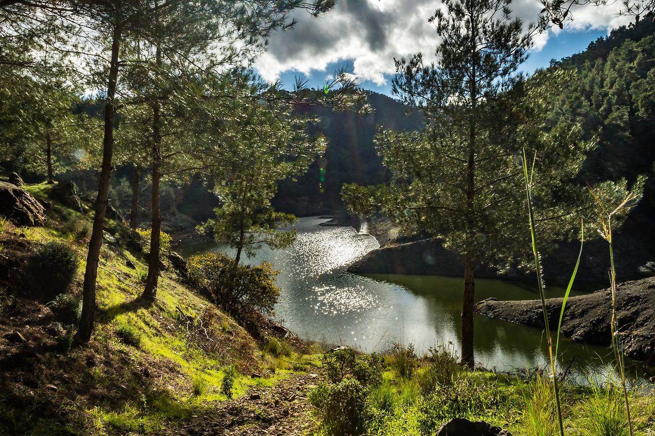 Xyliatos dam_Lefkosia_December_6722 (2).jpg