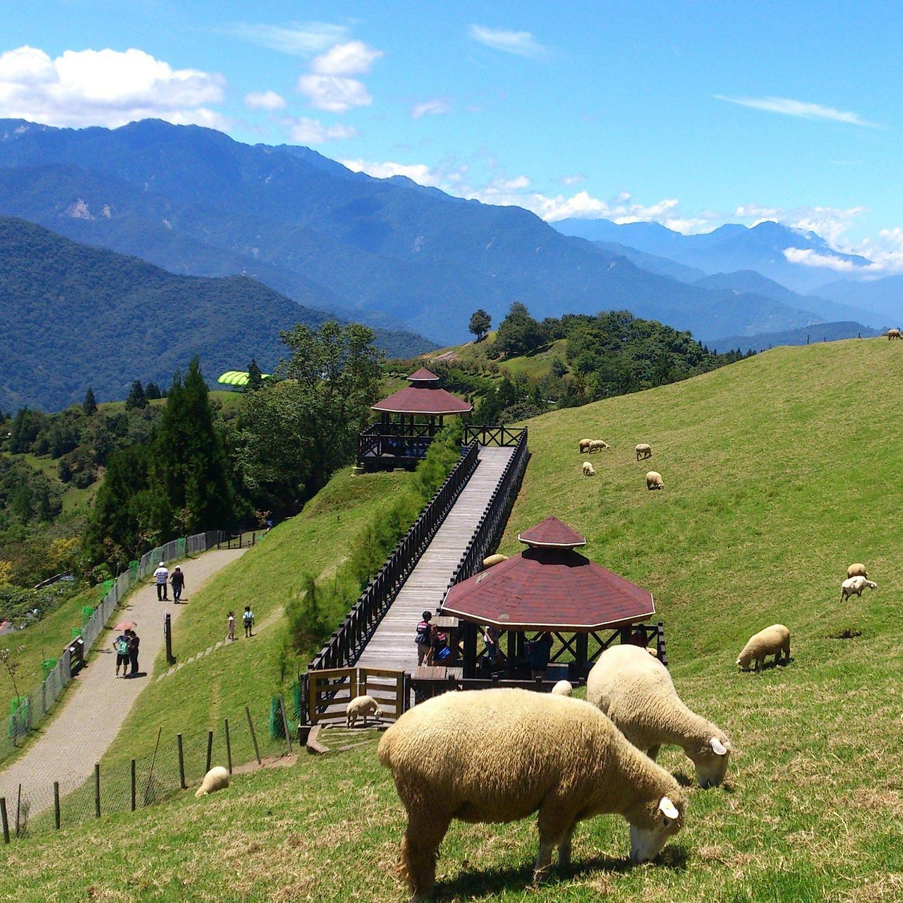 대만자유여행_버스투어_칭징농장 (1).jpg