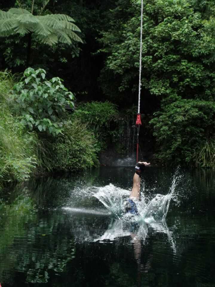 케언즈액티비티_번지점프 (2).jpg
