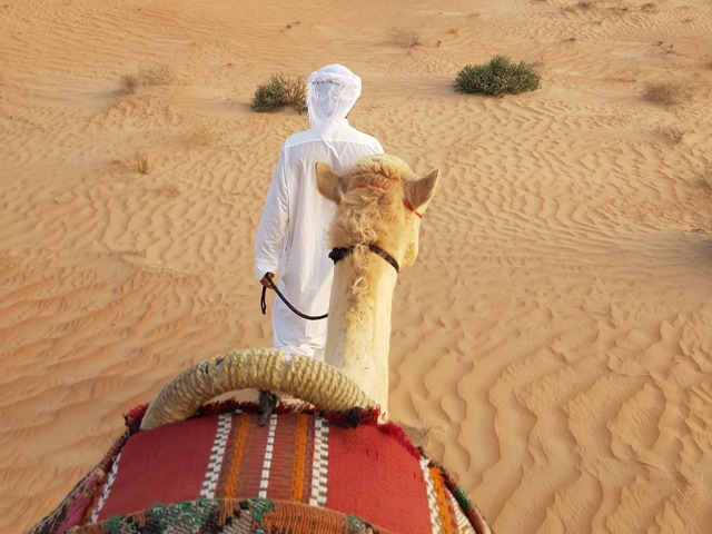 다운로드 (8)640-480.jpg