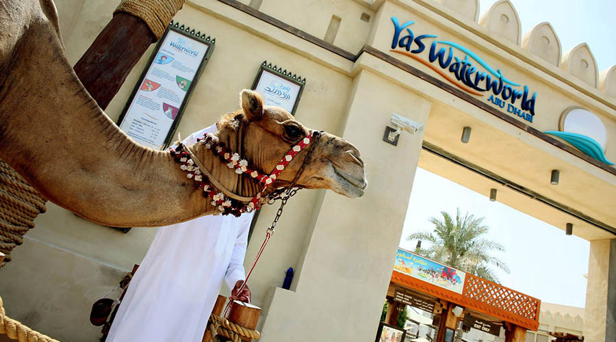 yas-water-world-abu-dhabi.jpg