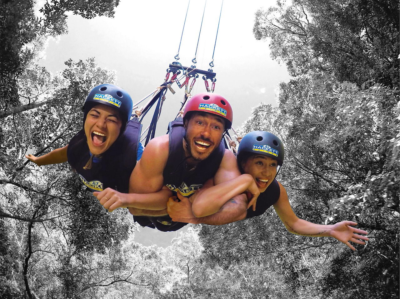 Swing brochure cover.jpg