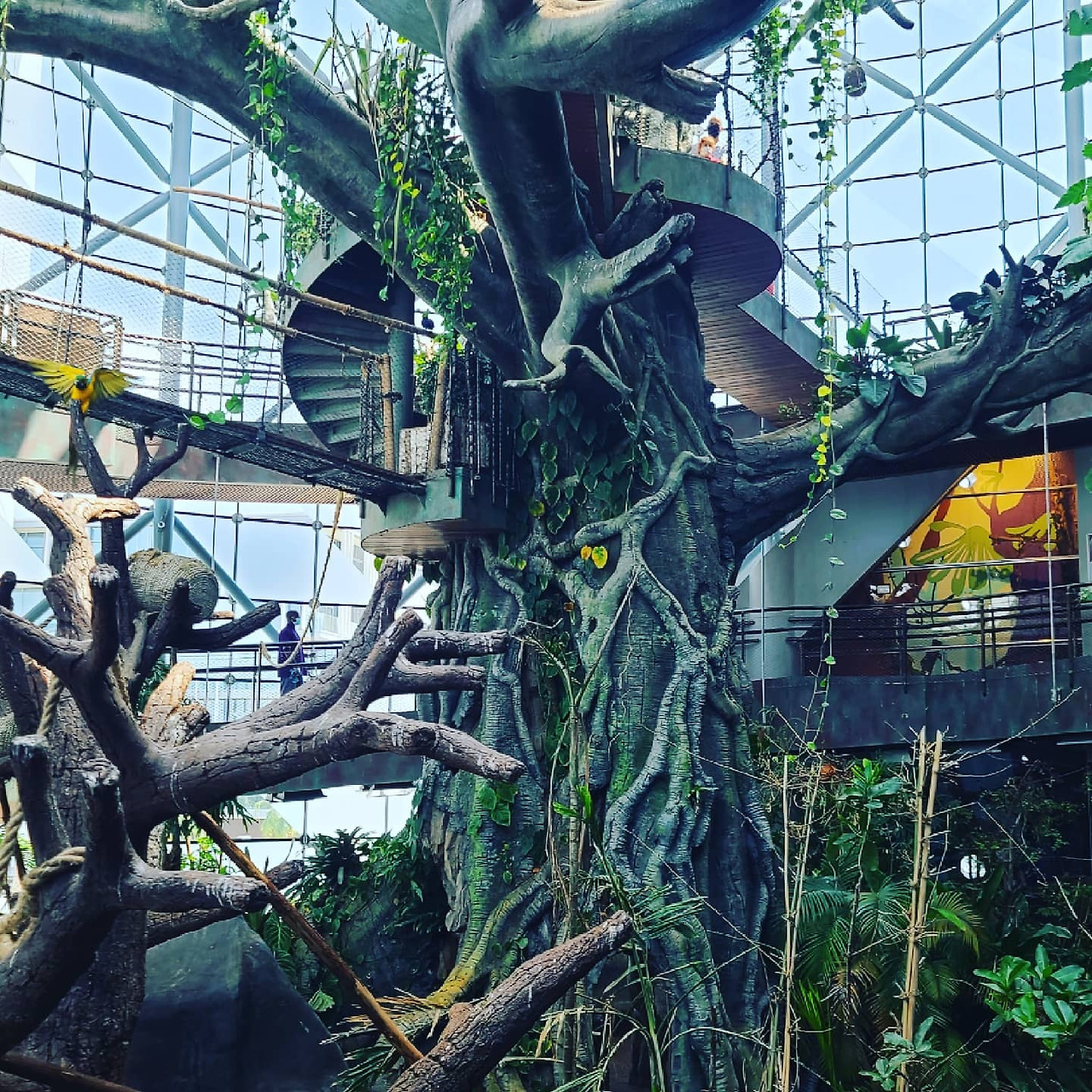 2021두바이여행시티투어한인가이드관광 (3).jpg