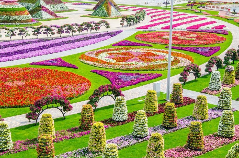 1_-_Miracle_garden2.jpg