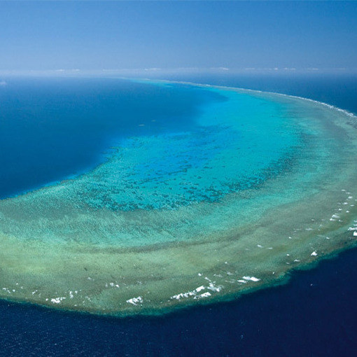 케언즈여행_그래이트배리어리프_헬기투어액티비티 (25).jpg