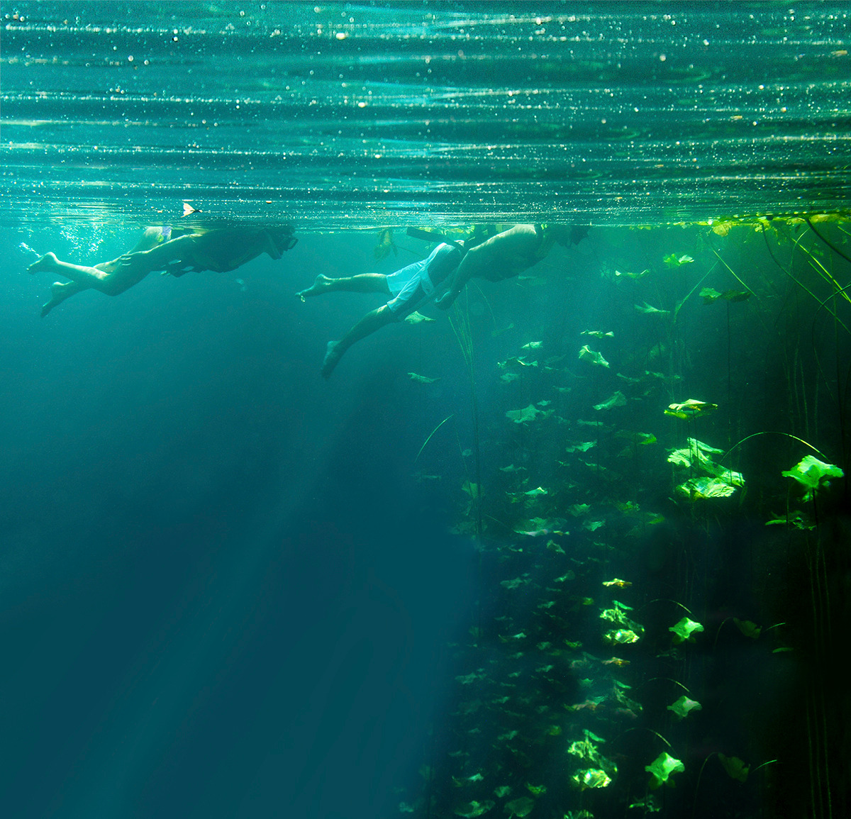 멕시코칸쿤_세노떼_액티비티 (7).jpg