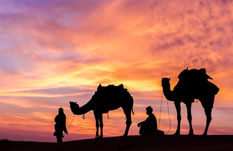 두바이 일몰 사막투어 6.jpg