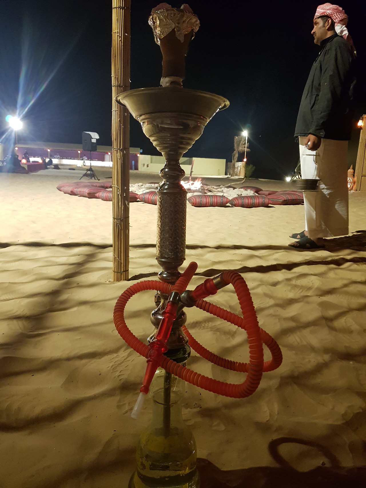 (6689) 2019.0122 아부다비 이브닝 사파리 (note8).jpg