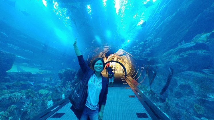 두바이몰_아쿠아리움_수족관관람후기 (26).jpg