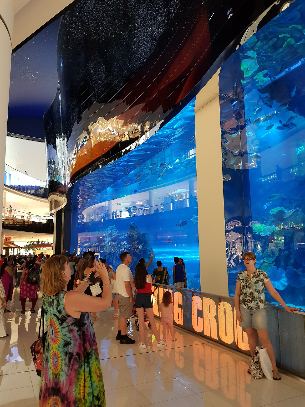 두바이몰_아쿠아리움_수족관관람후기 (3).jpg