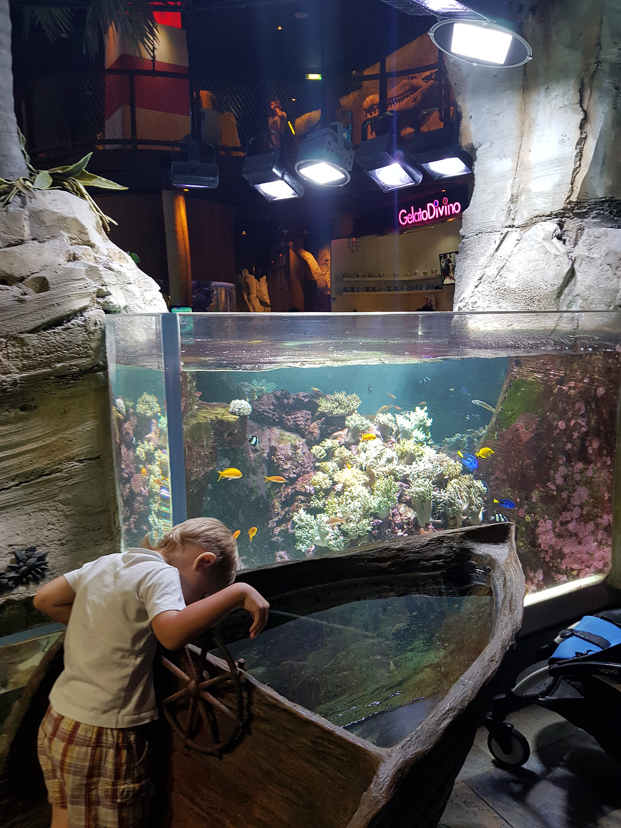 두바이몰_아쿠아리움_수족관관람후기 (17).jpg