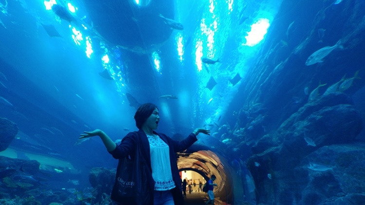 두바이몰 아쿠아리움 2.jpg