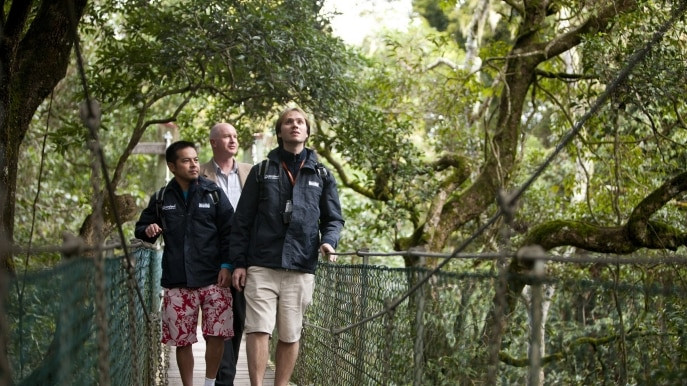 imageSrc.adapt.687.HIGH (1).jpg