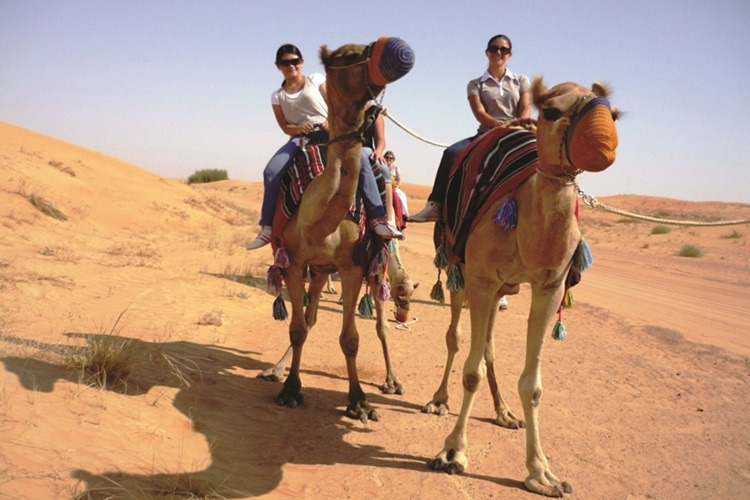 두바이 사막에서의 디너 (9).jpg