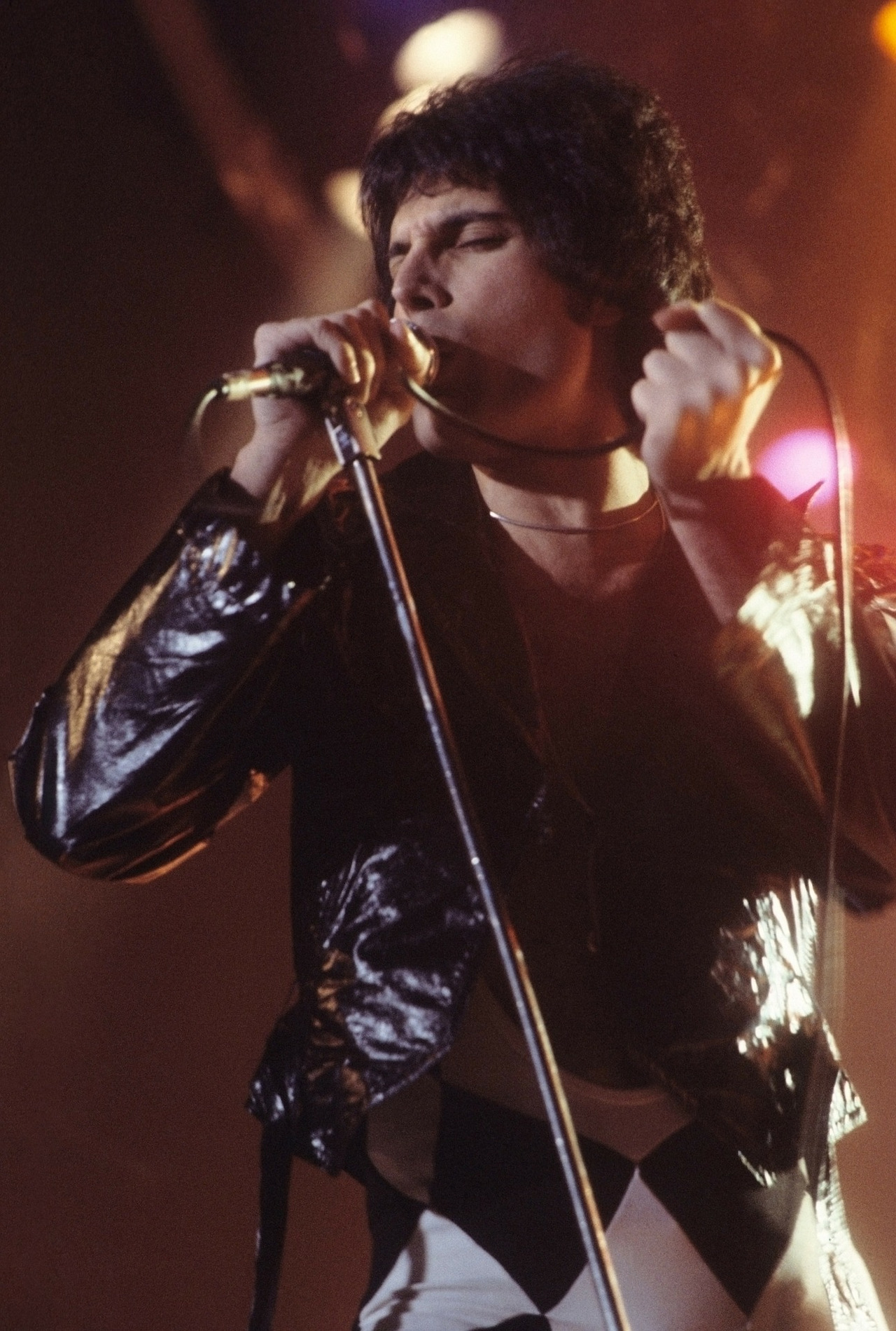 freddie-mercury-71848_1920.jpg