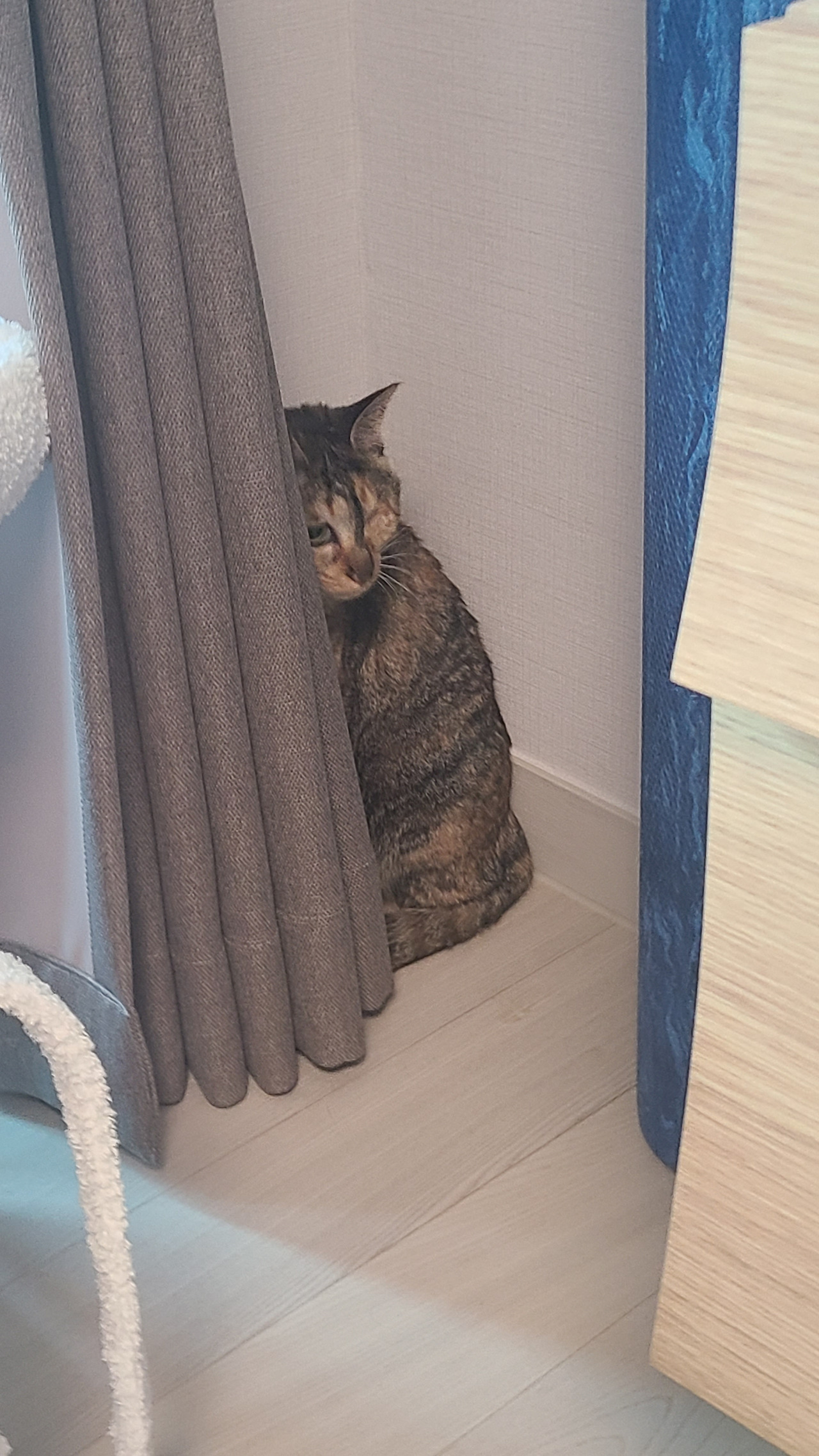카지노 게임