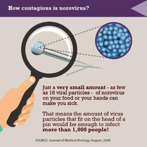 norovirus.jpg